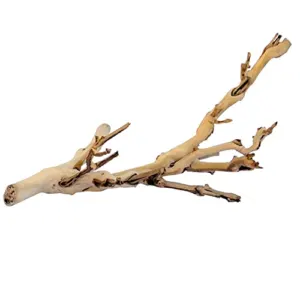 Exo Terra Forest Branch, Small B0032GG7M4