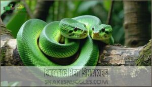 exotic pet snakes
