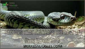 factors that increase the risk of skin infections
