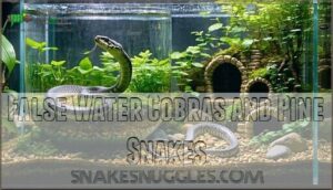false water cobras and pine snakes