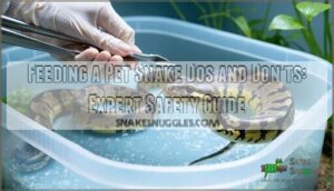 feeding a pet snake dos and donts