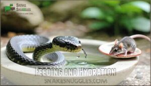 feeding and hydration