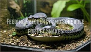 feeding frequency and schedule for pet snakes