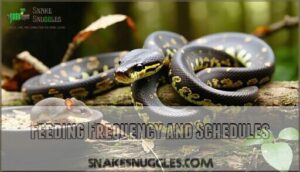 feeding frequency and schedules