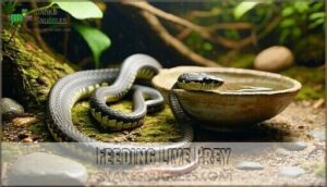 feeding live prey