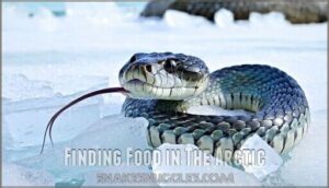 finding food in the arctic