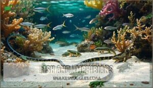 fish and amphibians