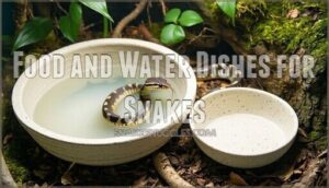 food and water dishes for snakes