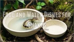 food and water dishes for snakes food and water dishes for snakes