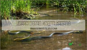 freshwater snake genera