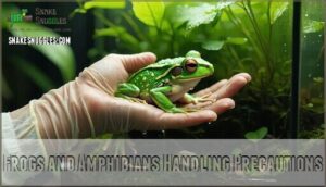 frogs and amphibians handling precautions