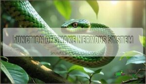 function of snake nervous system