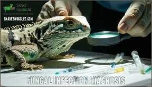 fungal infection diagnosis fungal infection diagnosis