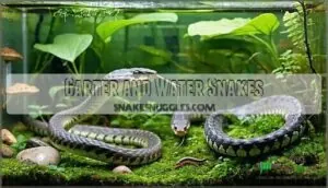 garter and water snakes garter and water snakes