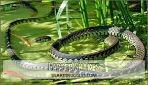 garter snakes