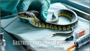 gastric lavage and endoscopy