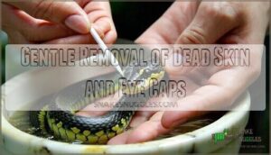 gentle removal of dead skin and eye caps