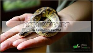 gentle temperament