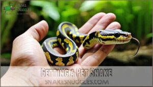 getting a pet snake