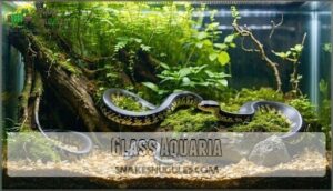 glass aquaria