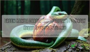 green mamba cardiotoxin properties