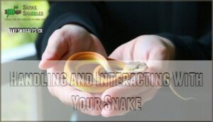 handling and interacting with your snake