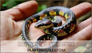 handling and interaction