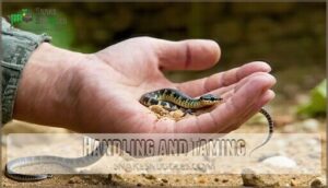 handling and taming