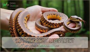 handling and temperament