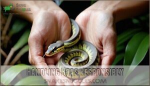 handling boas responsibly