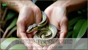handling boas responsibly handling boas responsibly