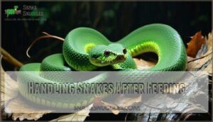 handling snakes after feeding