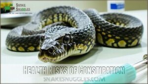 health risks of constipation