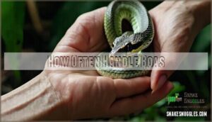 how often handle boas