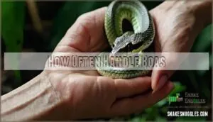 how often handle boas how often handle boas