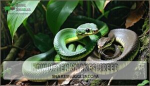 how often snakes breed