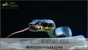 how snakes sense food