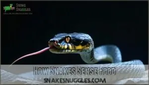 how snakes sense food how snakes sense food