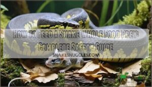 how to feed a snake whole food prey