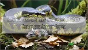 how to feed a snake whole food prey