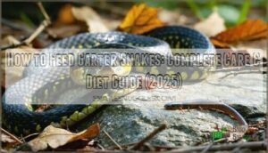 how to feed garter snakes