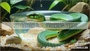 hydration and drinking needs