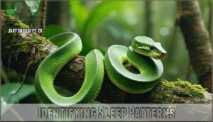 identifying sleep patterns