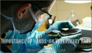 importance of hands-on veterinary care