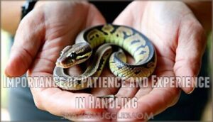 importance of patience and experience in handling