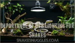importance of uvb lighting for snakes