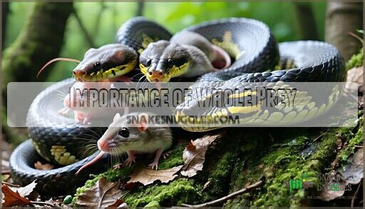 How to Feed a Snake Whole Food Prey: Complete Safety Guide