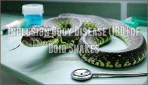 inclusion body disease (ibd) of boid snakes