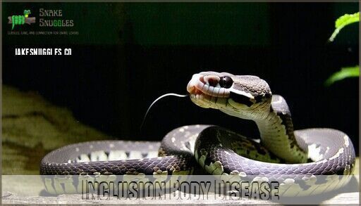 Common Health Issues in Ball Pythons: Signs, Prevention & Care