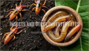 insects and other invertebrates
